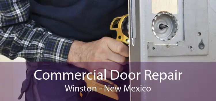 Commercial Door Repair Winston - New Mexico
