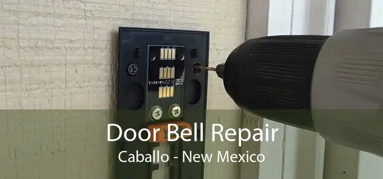 Door Bell Repair Caballo - New Mexico