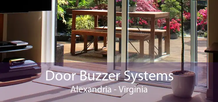 Door Buzzer Systems Alexandria - Virginia