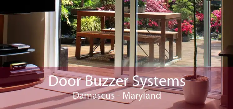 Door Buzzer Systems Damascus - Maryland