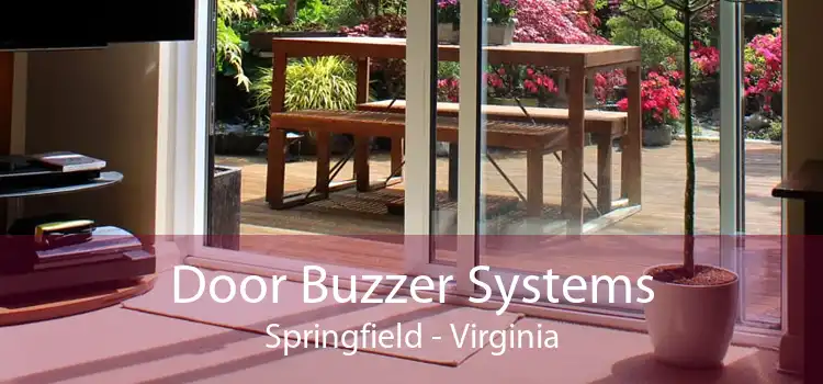 Door Buzzer Systems Springfield - Virginia