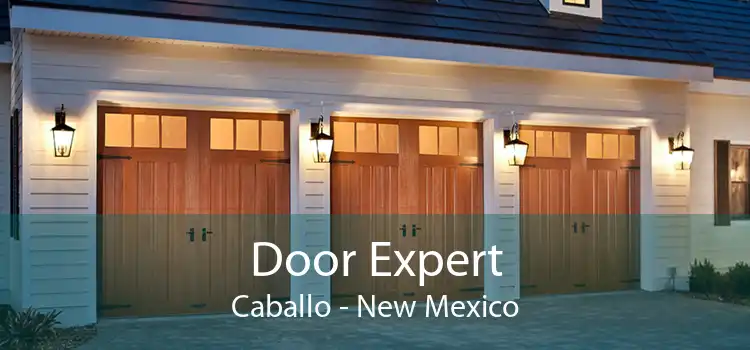 Door Expert Caballo - New Mexico