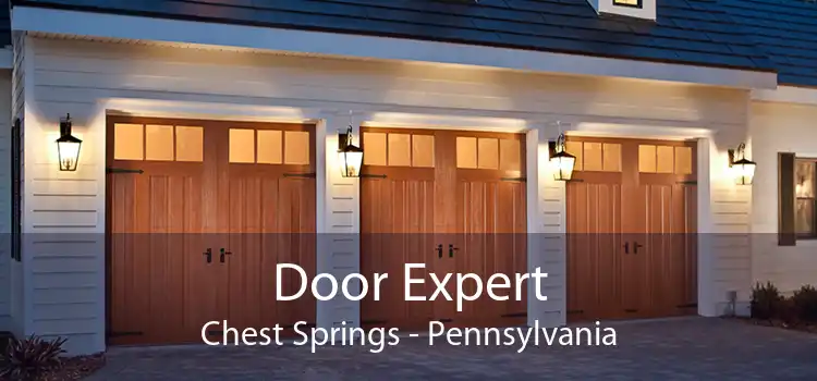 Door Expert Chest Springs - Pennsylvania