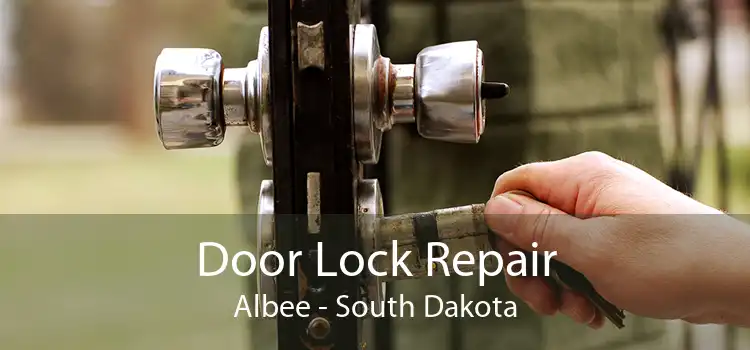 Door Lock Repair Albee - South Dakota