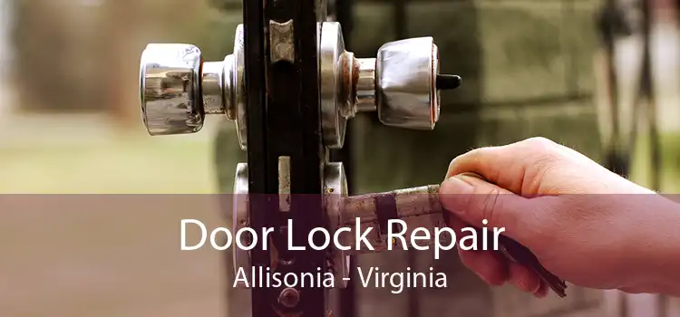 Door Lock Repair Allisonia - Virginia