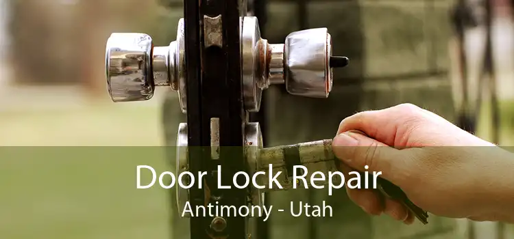 Door Lock Repair Antimony - Utah