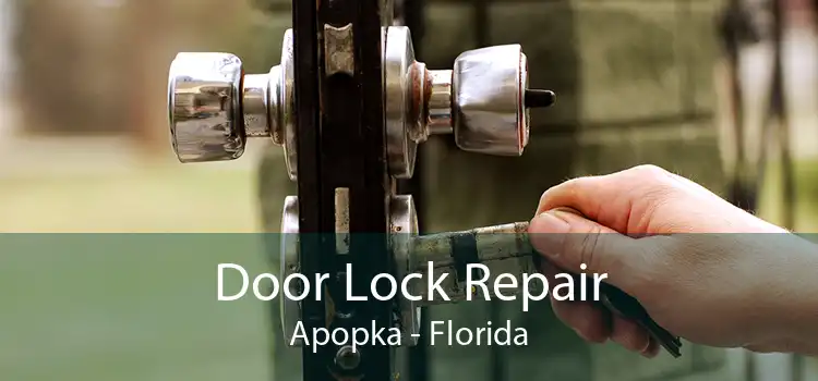 Door Lock Repair Apopka - Florida