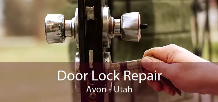 Door Lock Repair Avon - Utah