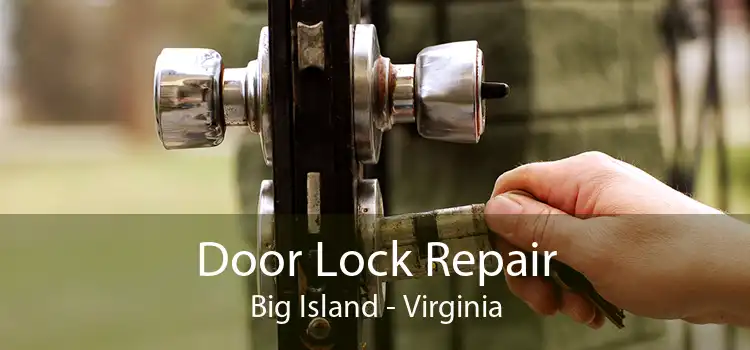 Door Lock Repair Big Island - Virginia