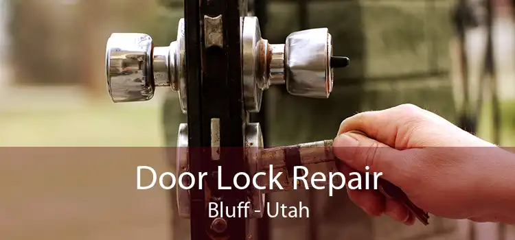 Door Lock Repair Bluff - Utah