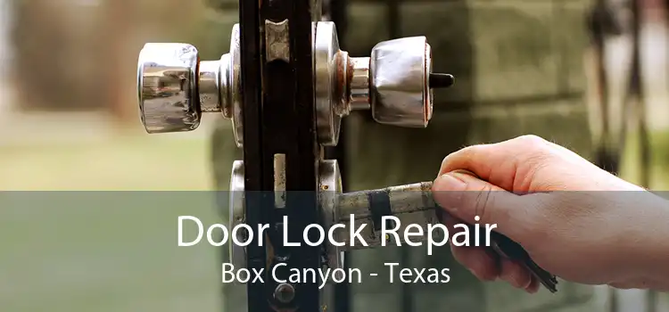 Door Lock Repair Box Canyon - Texas