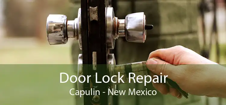 Door Lock Repair Capulin - New Mexico