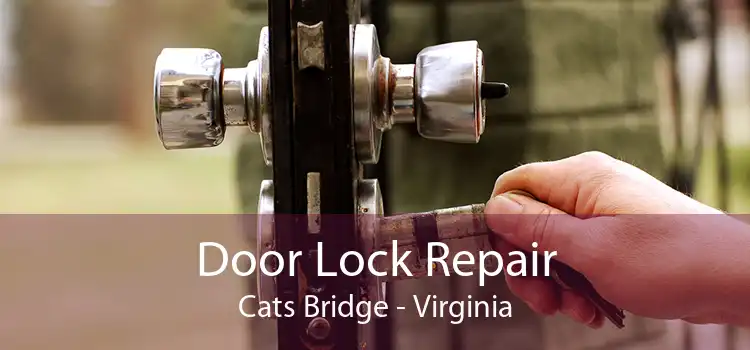 Door Lock Repair Cats Bridge - Virginia