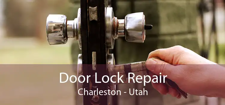 Door Lock Repair Charleston - Utah