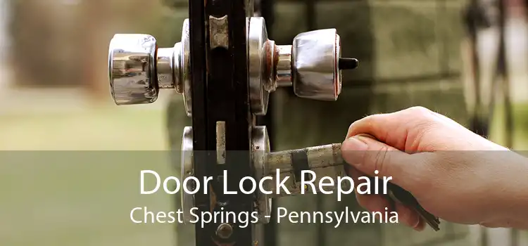 Door Lock Repair Chest Springs - Pennsylvania