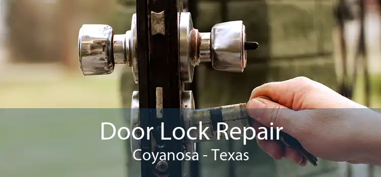 Door Lock Repair Coyanosa - Texas