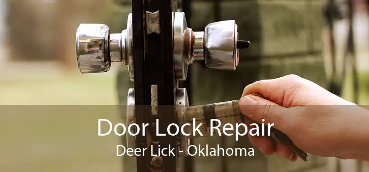 Door Lock Repair Deer Lick - Oklahoma