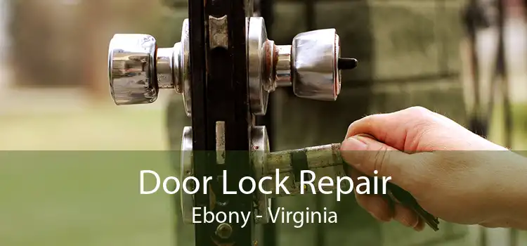 Door Lock Repair Ebony - Virginia