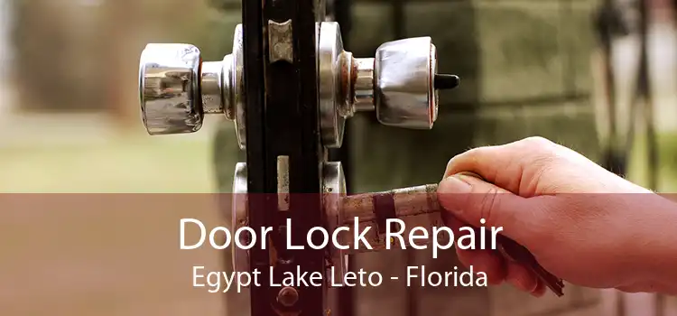 Door Lock Repair Egypt Lake Leto - Florida