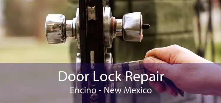 Door Lock Repair Encino - New Mexico