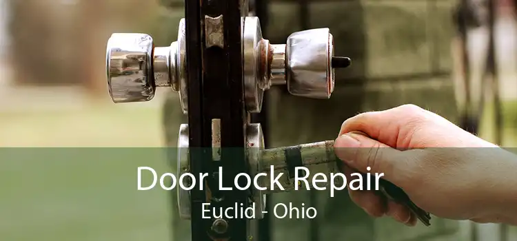 Door Lock Repair Euclid - Ohio