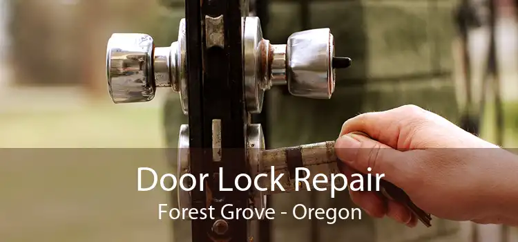 Door Lock Repair Forest Grove - Oregon