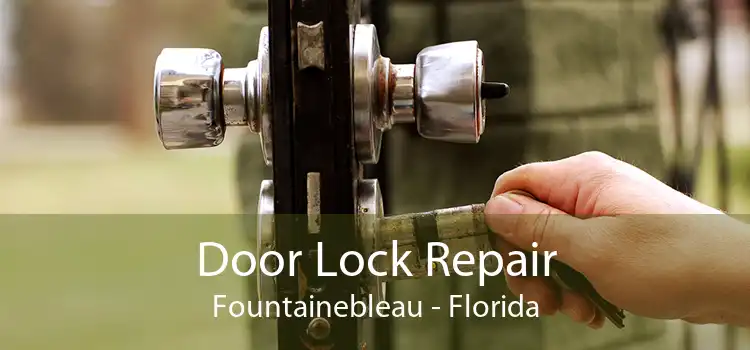 Door Lock Repair Fountainebleau - Florida