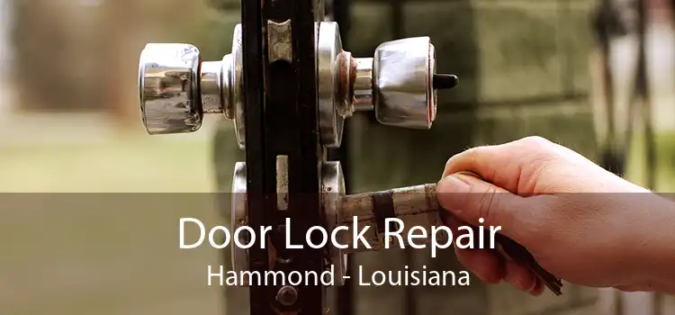 Door Lock Repair Hammond - Louisiana