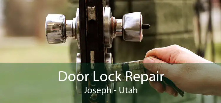Door Lock Repair Joseph - Utah