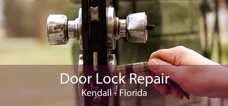 Door Lock Repair Kendall - Florida