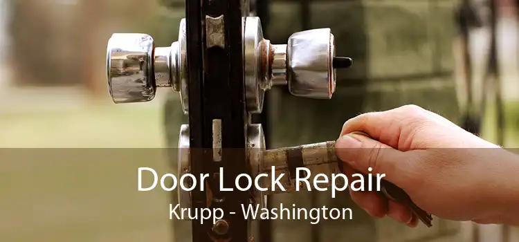 Door Lock Repair Krupp - Washington