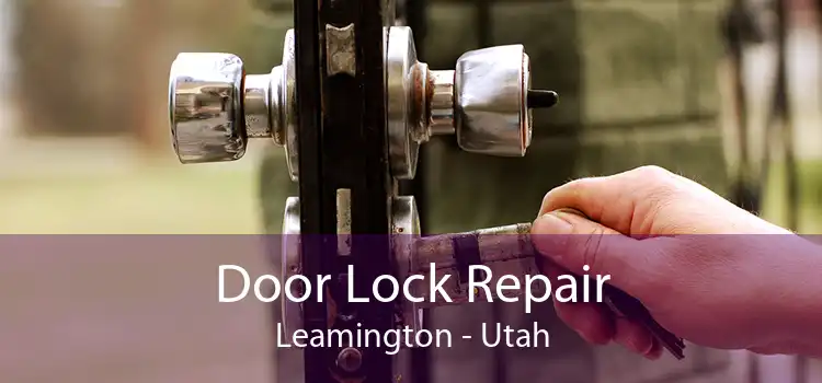 Door Lock Repair Leamington - Utah