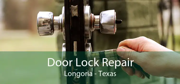 Door Lock Repair Longoria - Texas