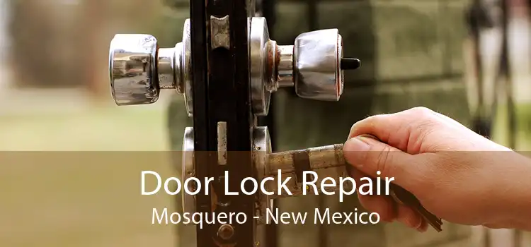 Door Lock Repair Mosquero - New Mexico