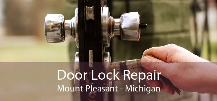 Door Lock Repair Mount Pleasant - Michigan