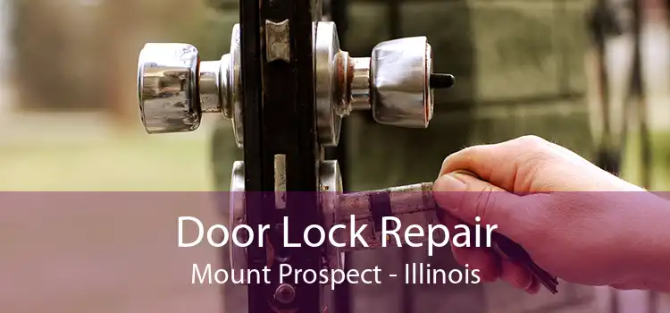 Door Lock Repair Mount Prospect - Illinois