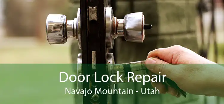 Door Lock Repair Navajo Mountain - Utah