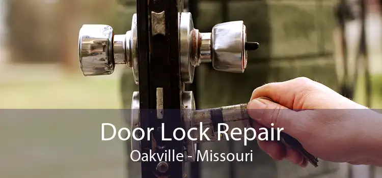 Door Lock Repair Oakville - Missouri