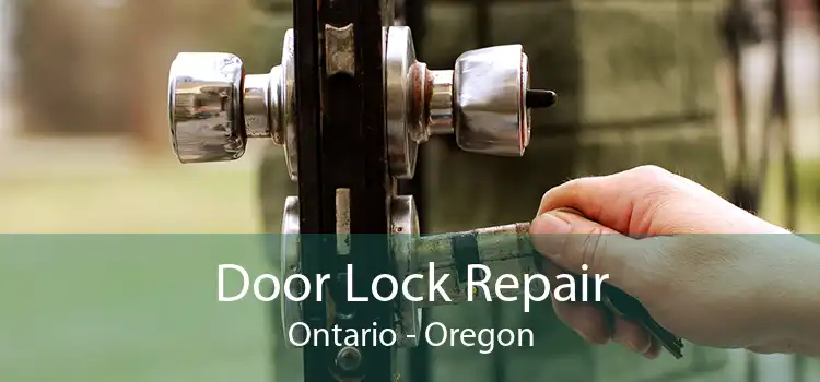 Door Lock Repair Ontario - Oregon