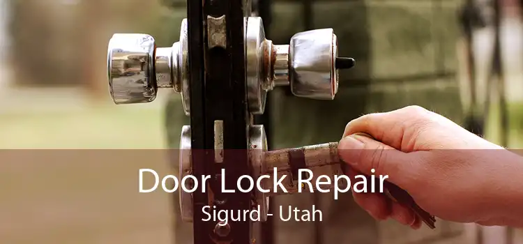 Door Lock Repair Sigurd - Utah