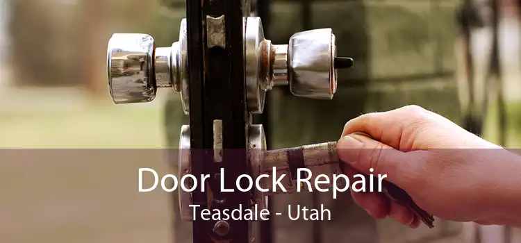 Door Lock Repair Teasdale - Utah