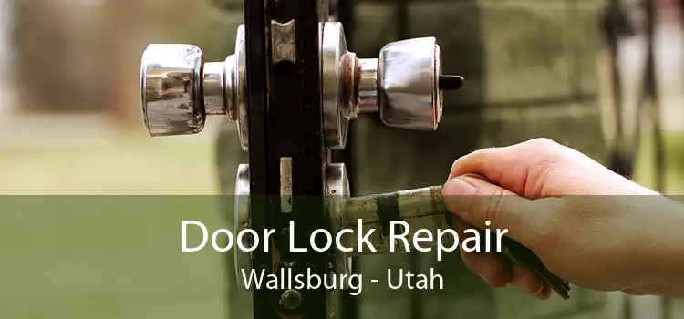 Door Lock Repair Wallsburg - Utah