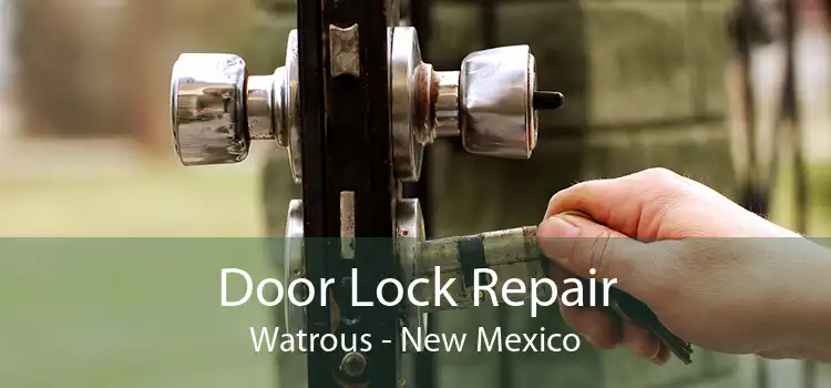 Door Lock Repair Watrous - New Mexico