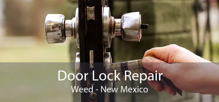 Door Lock Repair Weed - New Mexico