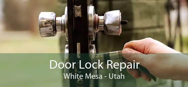 Door Lock Repair White Mesa - Utah