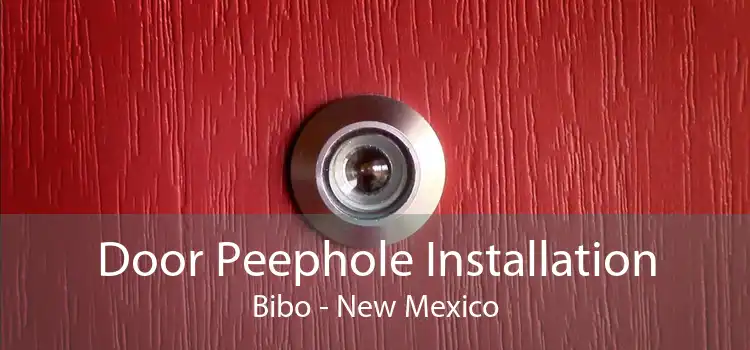 Door Peephole Installation Bibo - New Mexico