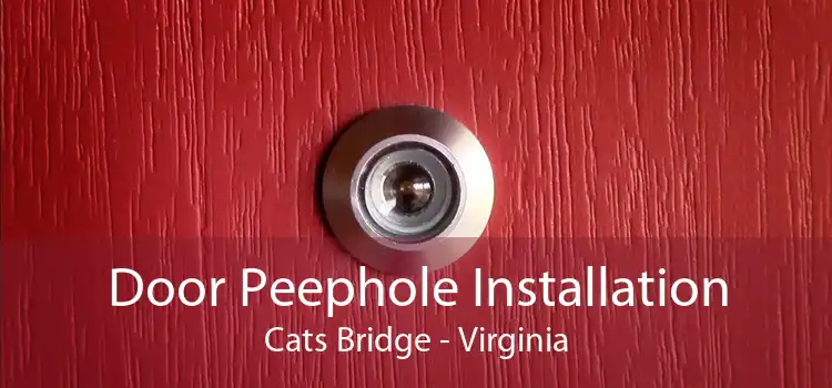 Door Peephole Installation Cats Bridge - Virginia