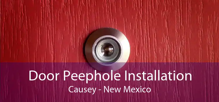 Door Peephole Installation Causey - New Mexico