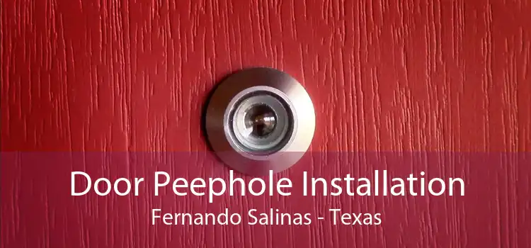 Door Peephole Installation Fernando Salinas - Texas