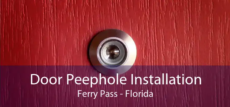 Door Peephole Installation Ferry Pass - Florida